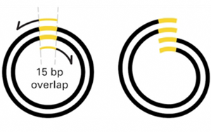 Revised webinar illustration