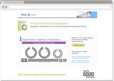 Screenshot of revised webinar viewing page